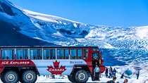 Columbia Icefield Tour with Glacier Skywalk from Calgary
