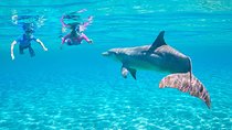Dolphin House Royal Sea Trip Water Sports W/Transfer - HURGHADA