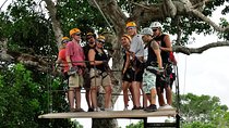 ATV, zip lines and cenote