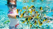 Red Sea Snorkeling Hurgada 