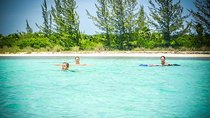 8-Hour Private 40' Yacht 2-Stop Tour to Palancar Beach w/ Food, Drinks & Snorkel