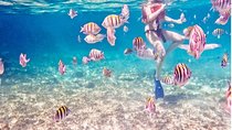 4H Luxury 44' Catamaran All-Inclusive in Tulum & Playa del Carmen