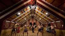 Private Tour - Hobbiton Movie Set & Te Puia (Rotorua)