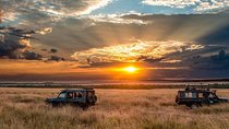 Discover a Thousand Hills of Rwanda & South Africa