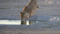 10 Namibia Adventures