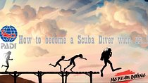 Padi Discover Scuba Diving In Amed Bali