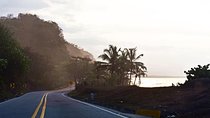 Private transportation from Palomino to Minca police station