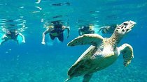 Snorkeling Tour In Gili Islands Pick Up From Lombok Or Gili