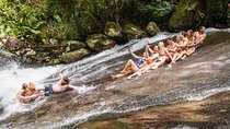 Fun, Falls and Forests Day Trip from Cairns