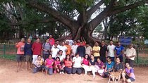 A Trail Through Parks Of Bangalore