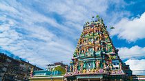 Indian/Hindu Cultural Immersion Tour