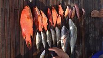 Private Fishing Trip morning – Hurghada