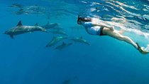 Dolphin House and Banana Boat Fun from Hurghada