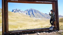 Durmitor National Park, Northern Fairy Tail -private tour from Podgorica
