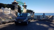 Transfer from Naples to Sorrento with 2 hours Private Tour in Pompeii