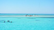 Sorkeling Trip to the White Island & Ras Mohammed