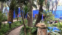 Private Tour to visit Coyoacan and Frida Kahlo Museum