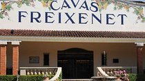 Wine and Cheese Route: Artisan Flavors at Freixenet and Bocanegra