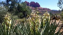 Four-Hour Sedona Vortex Tour