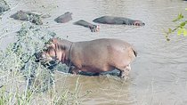 2 Days Ngorongoro & Tarangire From Zanzibar 