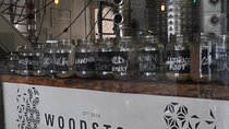 Cape Town Craft Gin trip full day 
