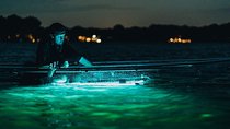 Clear Kayak Glow in the Dark Tour Through Winter Park 