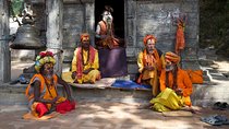 Luxury World Heritage Sightseeing Tour