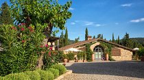 Wine tasting in the historical Cantalici winery