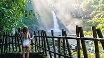 Private Tour: Ubud Highlights