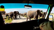 2-Day Amboseli National Park Safari- Daily Departures