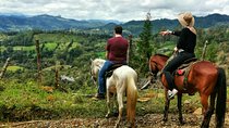 Horseback Riding in Medellin Private Tour: Great Views & Horses 