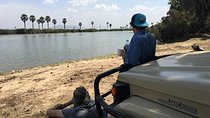 3 days safari to selous game reserve 