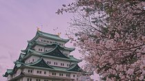 Private Departure Transfer Nagoya City to Chubu Centrair International Airport