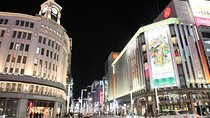 Shared Arrival Transfer : Haneda Airport to Central Tokyo City