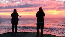 Cape Town Peninsula Day Tour ( Cape Point/Boulders/Wine Tasting)