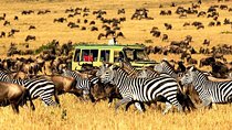 5 Day Mid-range Safari Serengeti, Ngorongoro Crater and Tarangire National Park