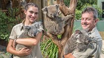 Wildlife, Wine & Waves – Epic South Coast Adventure from Sydney