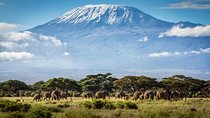 7 Days Mount Kilimanjaro Rongai Route