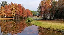 Flexible Private Half-Day Tour to Visit the Top Attraction Xiamen Yuanbo Garden