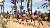  Quad Biking Tour & Camel Ride in Palm Grove Marrakech