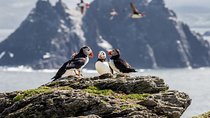 7-Day Ireland to Island Small Group Tour from Dublin 
