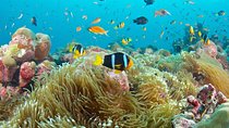 The Best 2-point Snorkeling in Padangbai: Blue lagoon and Tanjung jepun