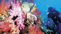 Diving Tour in Hurghada