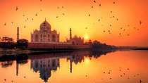 Private Taj Mahal Sunrise and Agra Fort Tour From Delhi