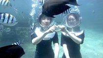 Bali Seawalker 