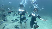 Sea Walker and Jet Ski Experience