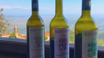 Wine Tour to Kartli region, Chateau Mukhrani and Wine of Freeedom