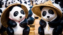 Private Day Tour: Dujiangyan Panda Base and Irrigation Project