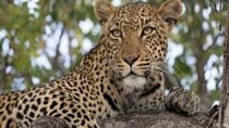 3 days Lake Mburo National Park