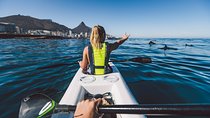 Atlantic Outlook Kayak Tour Cape Town 